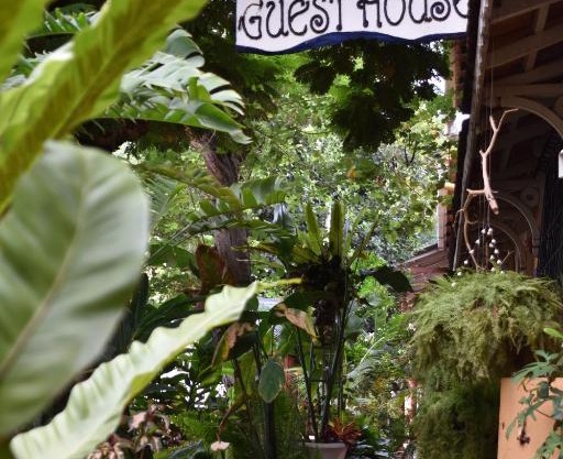 Afonso Guest House - Fontainhas