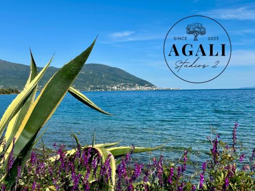 Agali Studios 2