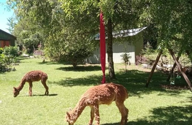 Cabaña entre bosque, volcanes y lagos