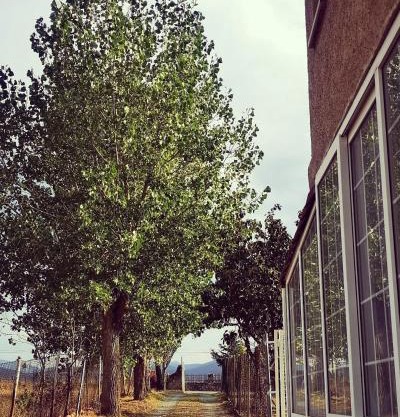 Agradable casa con jardín: Casasola