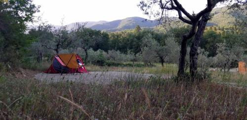 Agricampeggio Borgo Agna