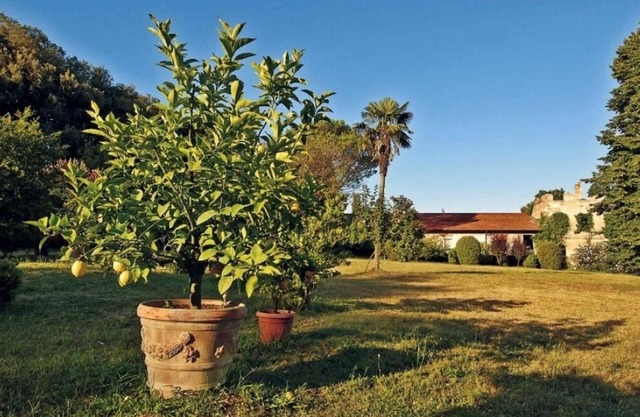 AGRITOURISM FARM BIGONGIARI