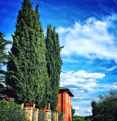Agriturismo Sant'Ellero