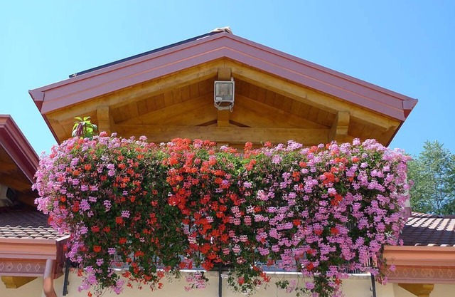 Agritur Vista Lago