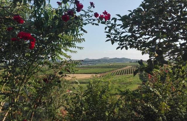 Agriturismo La Chiesina