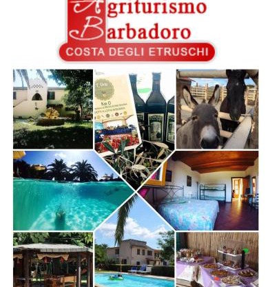 Agriturismo Barbadoro