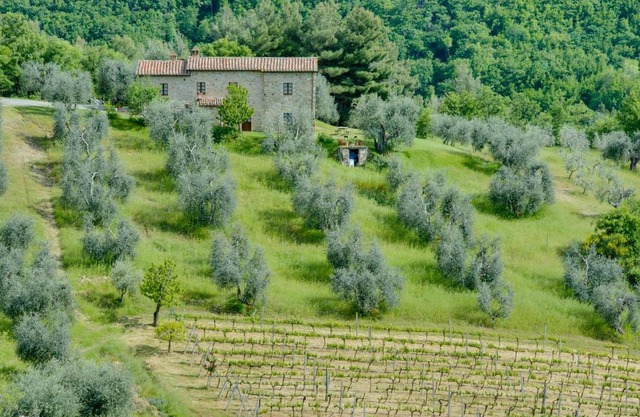 Agriturismo Bindozzino