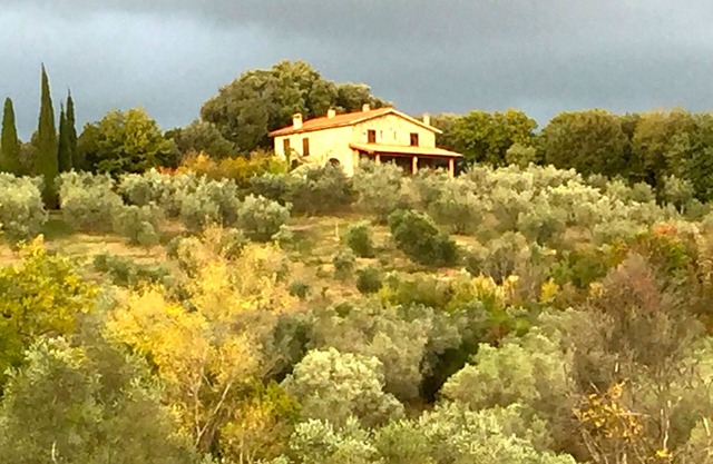 Agriturismo Campo al Crognolo.