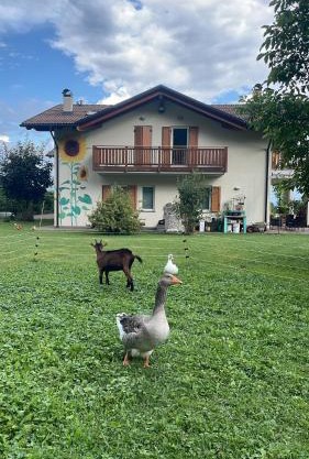 Agriturismo Girasole