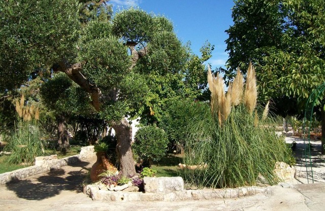 Agriturismo I Trulli di Zio Dino