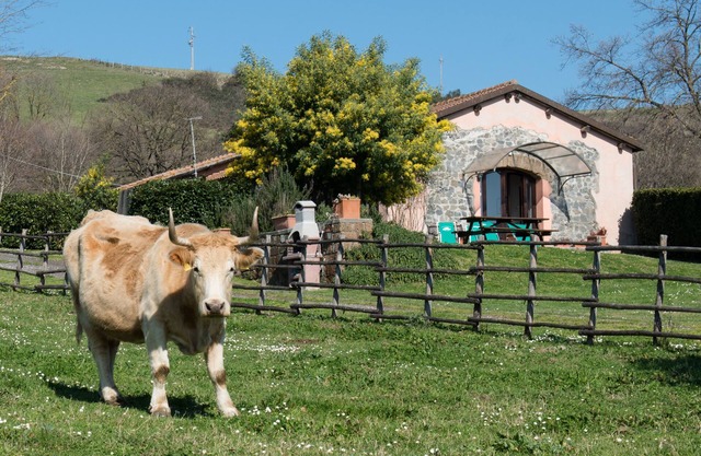 Agriturismo Il Castoro