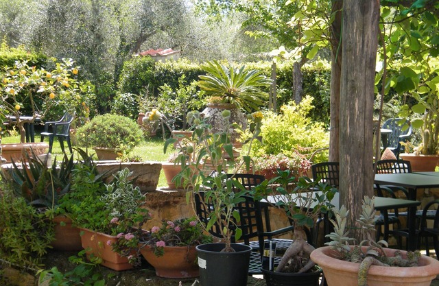 Agriturismo Poggio Alle Lame