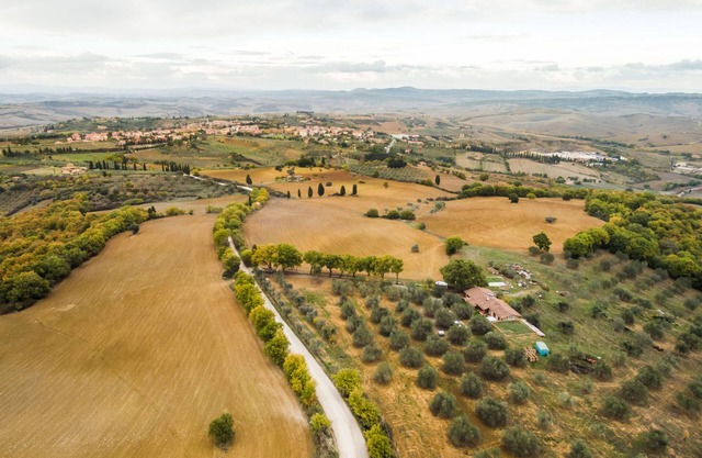 Agriturismo Cantagalli, Cedrone Apartamento
