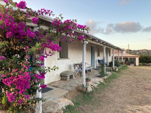 Agriturismo La Tana di Lu Maccioni