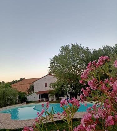 Agriturismo La Locandiera