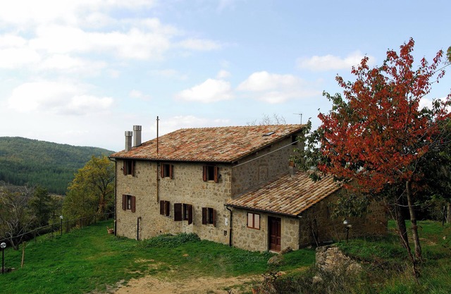 - Agriturismo La Piaggia - apartamento con vista al bosque en la planta baja 2 personas