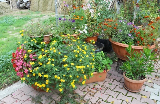 Agriturismo Monti Sibillini Camperato