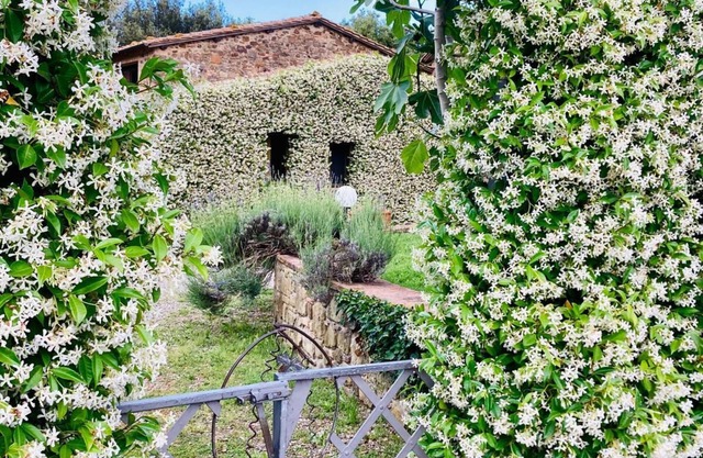 Agriturismo Piombaia