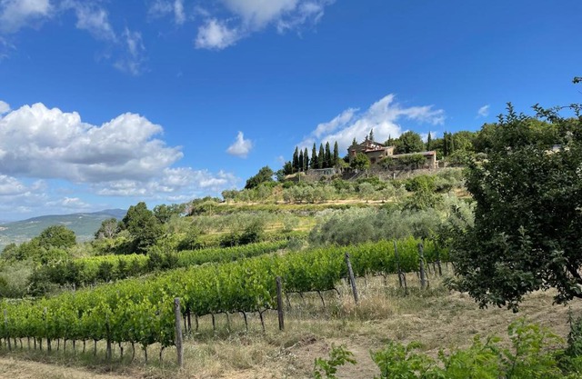 Agriturismo Podere Querceto