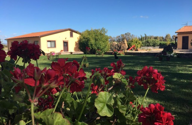 Agriturismo Sechi