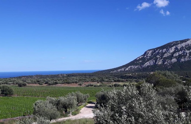 Agriturismo Su Barcu