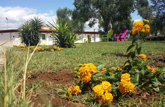 Agriturismo Terra D'Ulivi