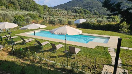 Agriturismo Verde Oliva