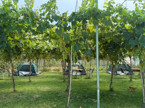 Agro Camping Harmony