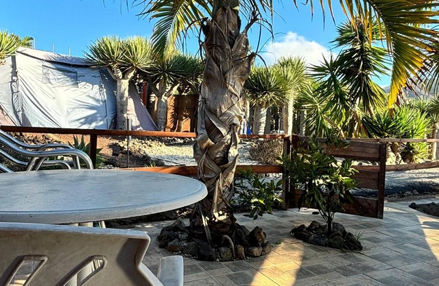 Agrocamping Invernaderito