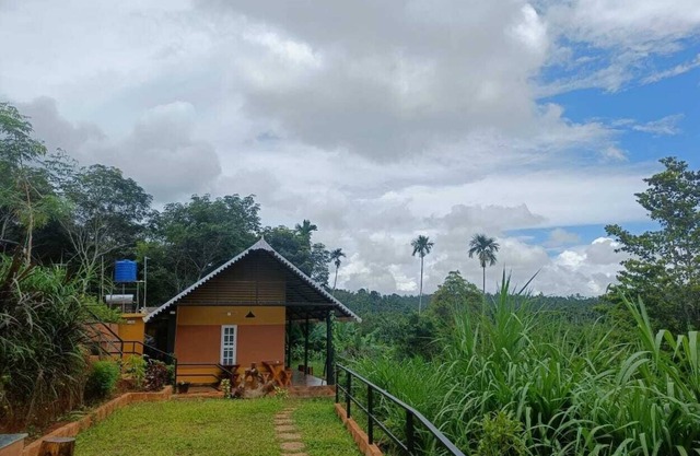 Agronest Farm Wayanad