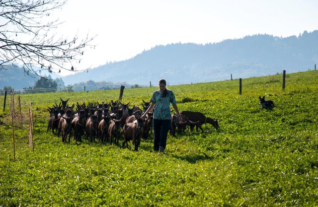 Agroturistika kozí farma Rožnov pod Radhoštěm
