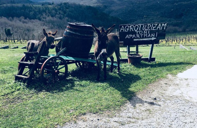 Agroturizam Toni
