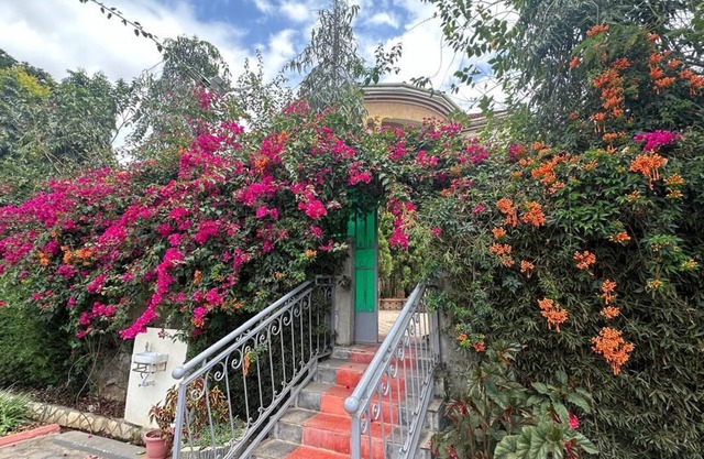Ahaka cottages