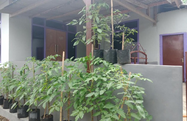 Ahim Homestay
