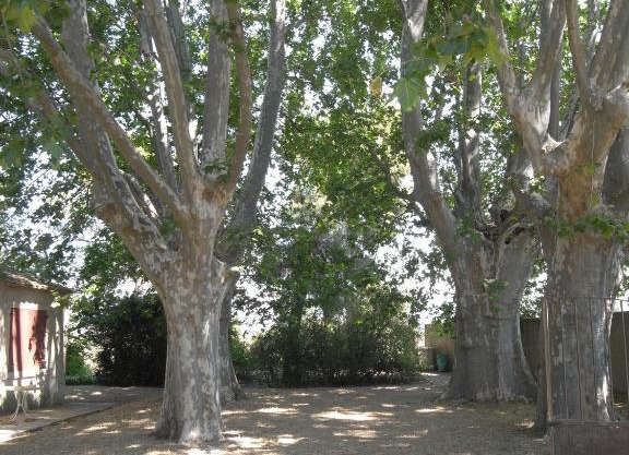aile d'un ancien mas