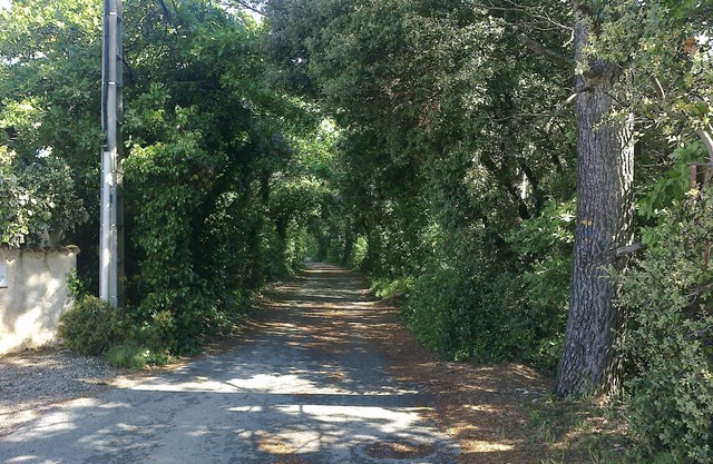 Villa climatizada, 4/5 p., A ras del suelo, vallada, independiente