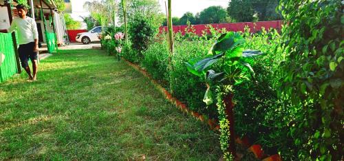 AJ Vacational Villa Rajgarh, Alwar