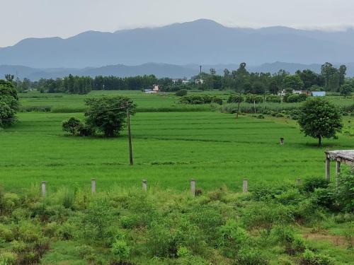 AK family Home Stay