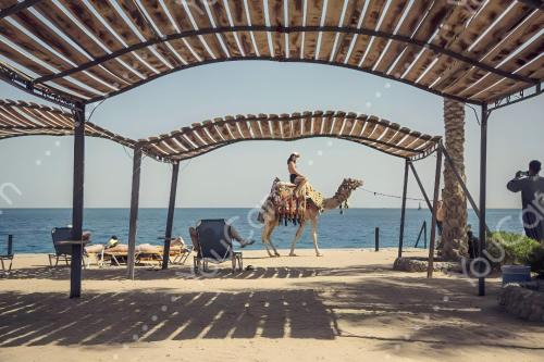 Al Dora Residence Suites Hurghada