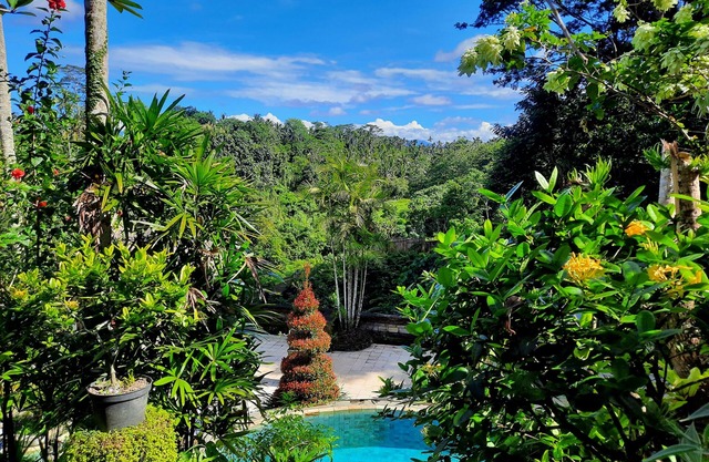 Alam Indah Ubud