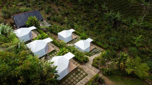 Alam Munduk Glamping