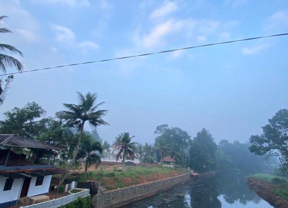 Alappattu meadows