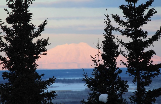Trailside Alaska Con Vistas