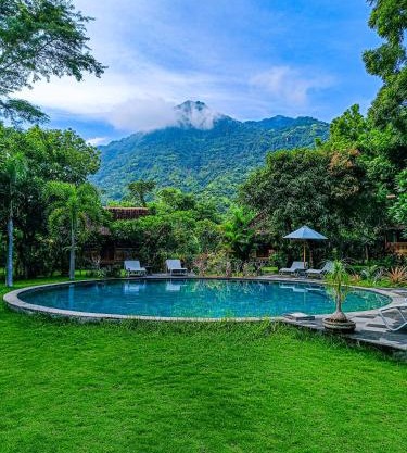 Alaya Ecolodge