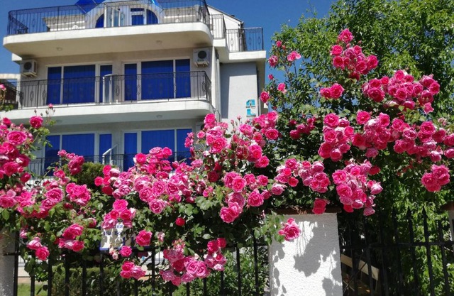 Albatros 2 Family Hotel