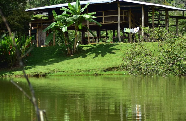 Albergue La Laguna Corcovado Park