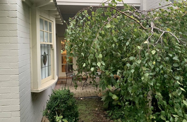 Albert Park Retreat
