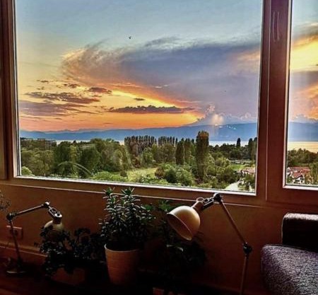 Albi Apartment