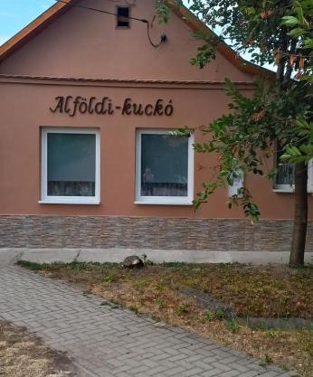 Alföldi-kuckó