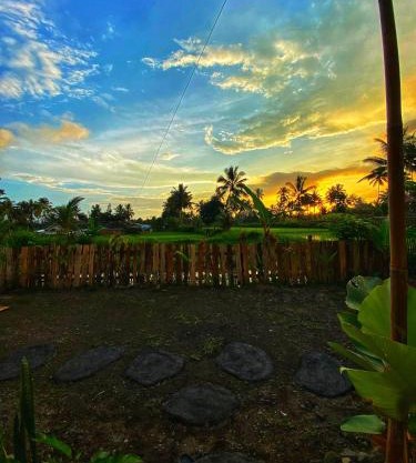 Alfarizi homestay